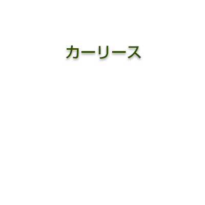 カーリース